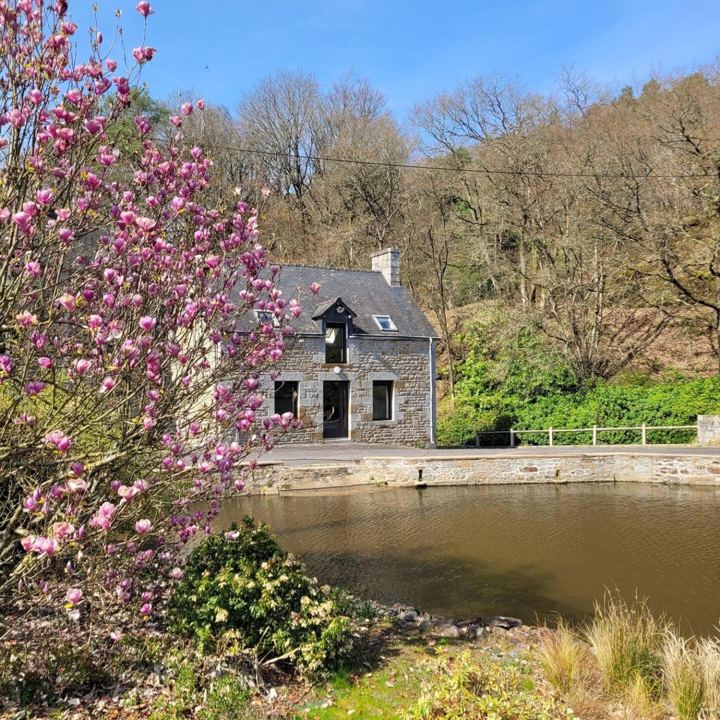 Вилла Maison Du Moulin Maen Roch Экстерьер фото